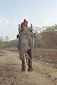 Panna National Park, Chattarpur, Madhya Pradesh